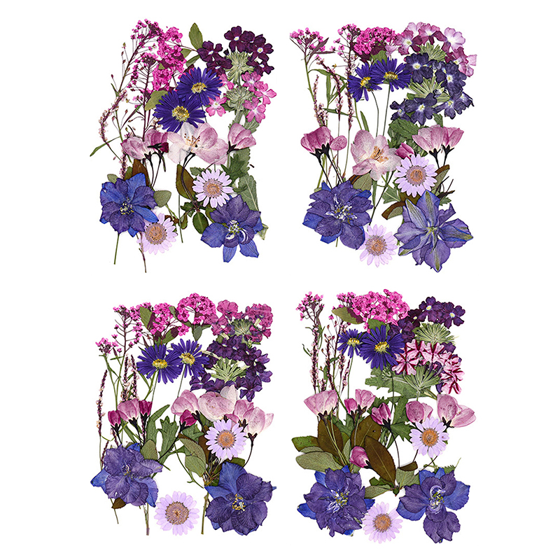 Jewelry Making For Birthday Party - Dried Flowers Real Natural Plant Pressed