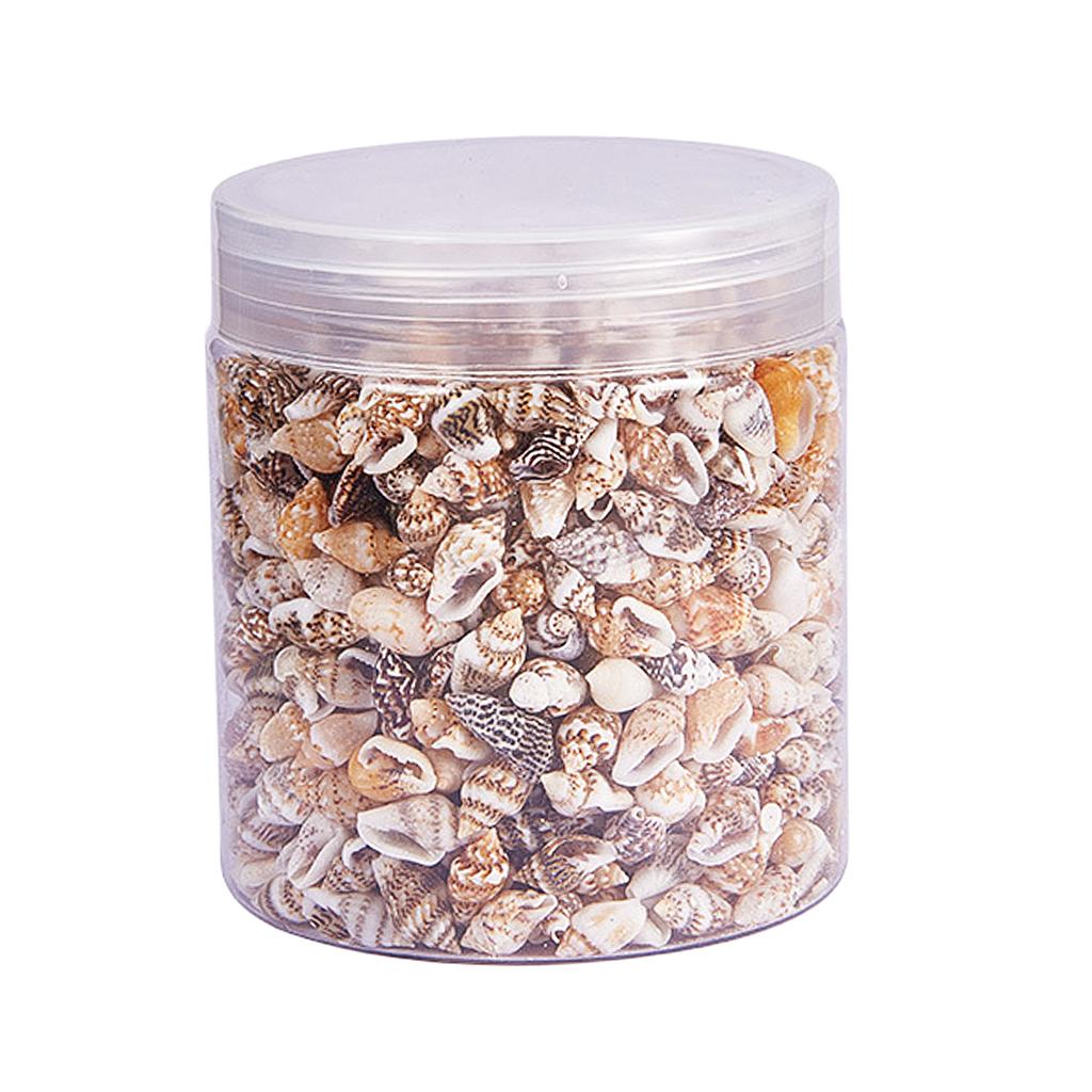 Natural Seashells Box Vibrant  – Jewelry Making Event recenzja i cena
