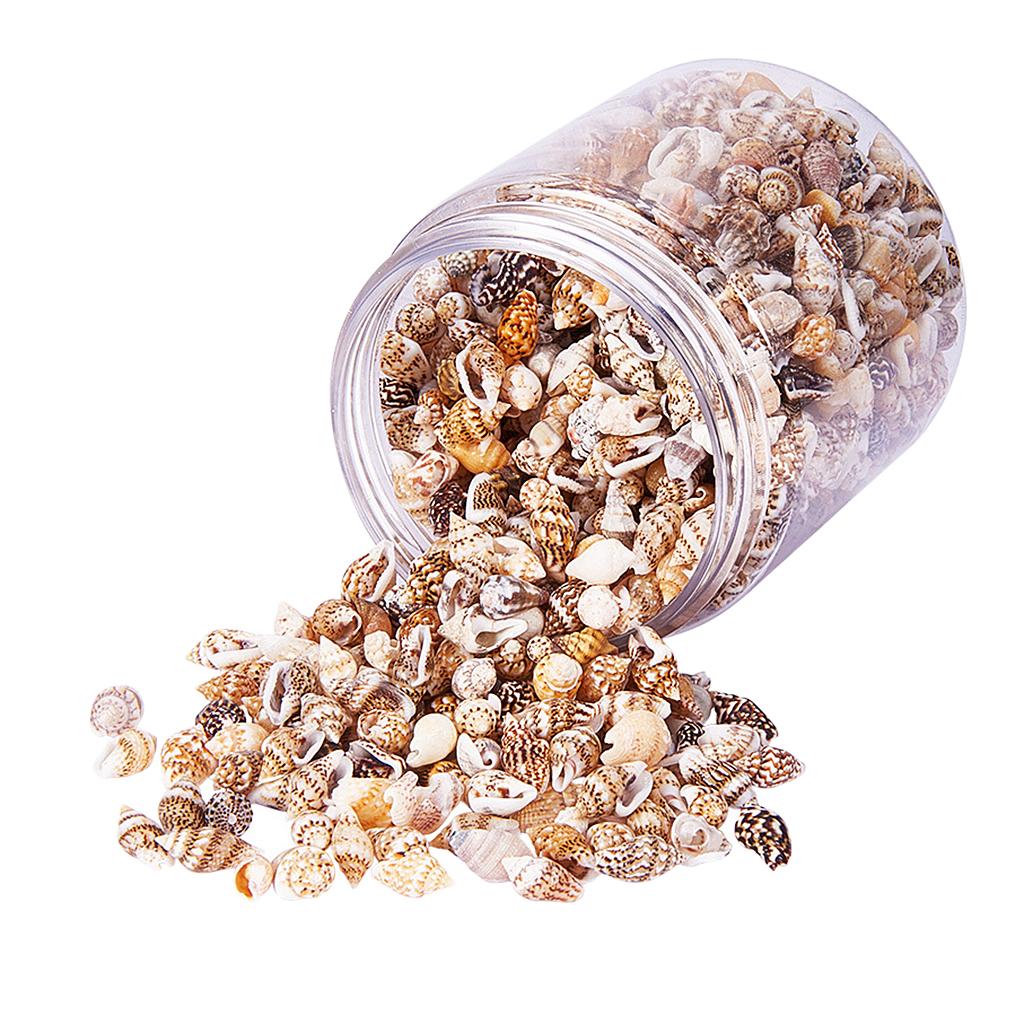 Natural Seashells Box Vibrant  – Jewelry Making Event recenzja i cena