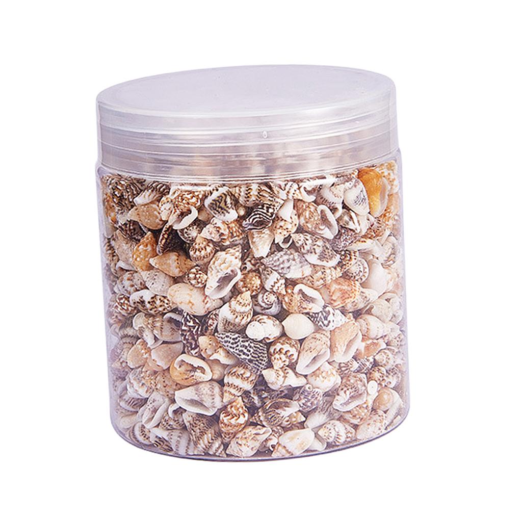 Natural Seashells Box Vibrant  – Jewelry Making Event recenzja i cena