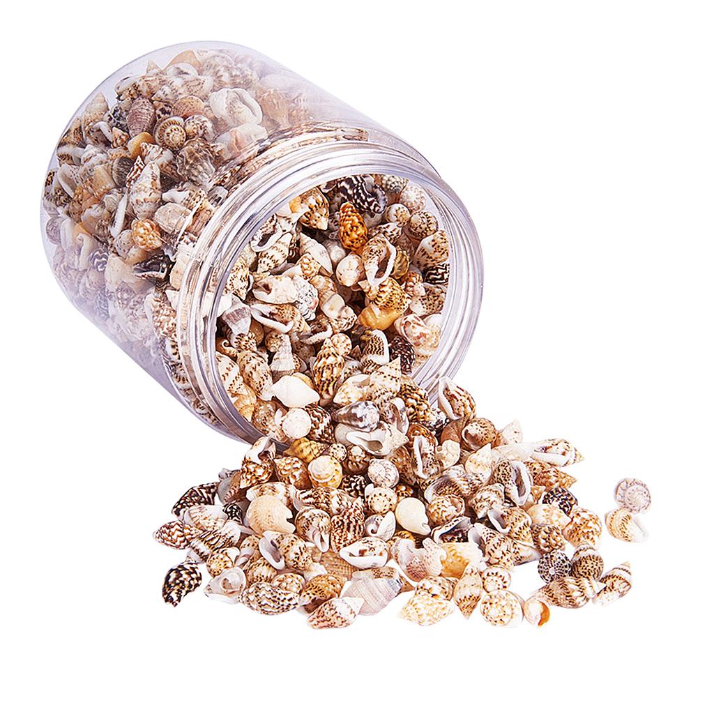 Natural Seashells Box Vibrant  – Jewelry Making Event recenzja i cena
