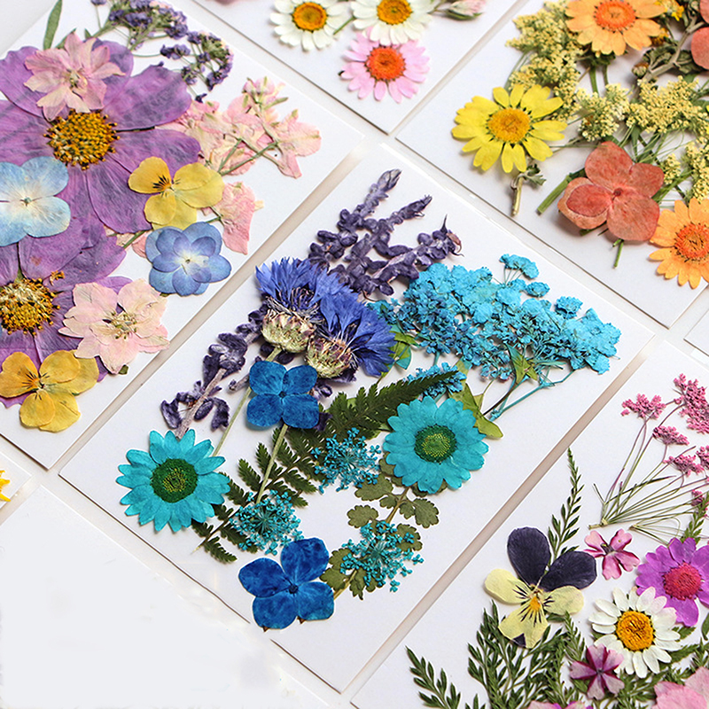 Dried Flowers Real Natural Pla – Jewelry Making For Birthday Party recenzja i cena