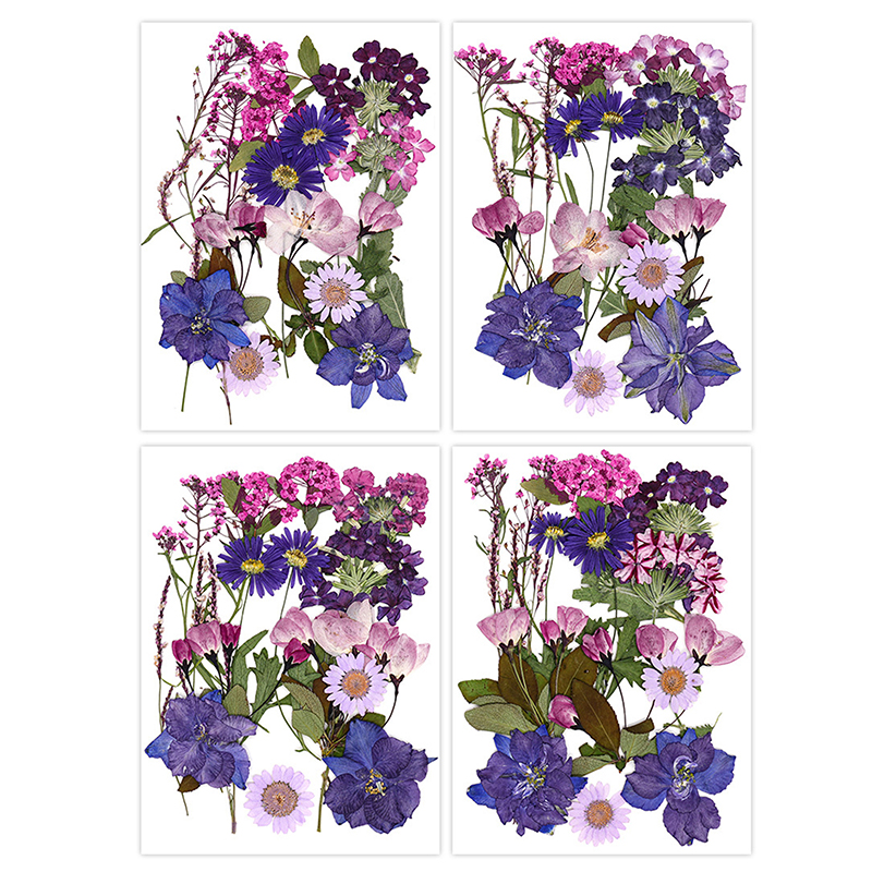 Dried Flowers Real Natural Pla – Jewelry Making For Birthday Party recenzja i cena