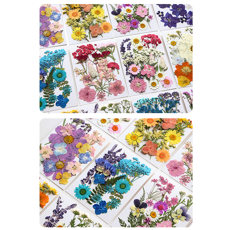 Dried Flowers Real Natural Pla – Jewelry Making For Birthday Party recenzja i cena