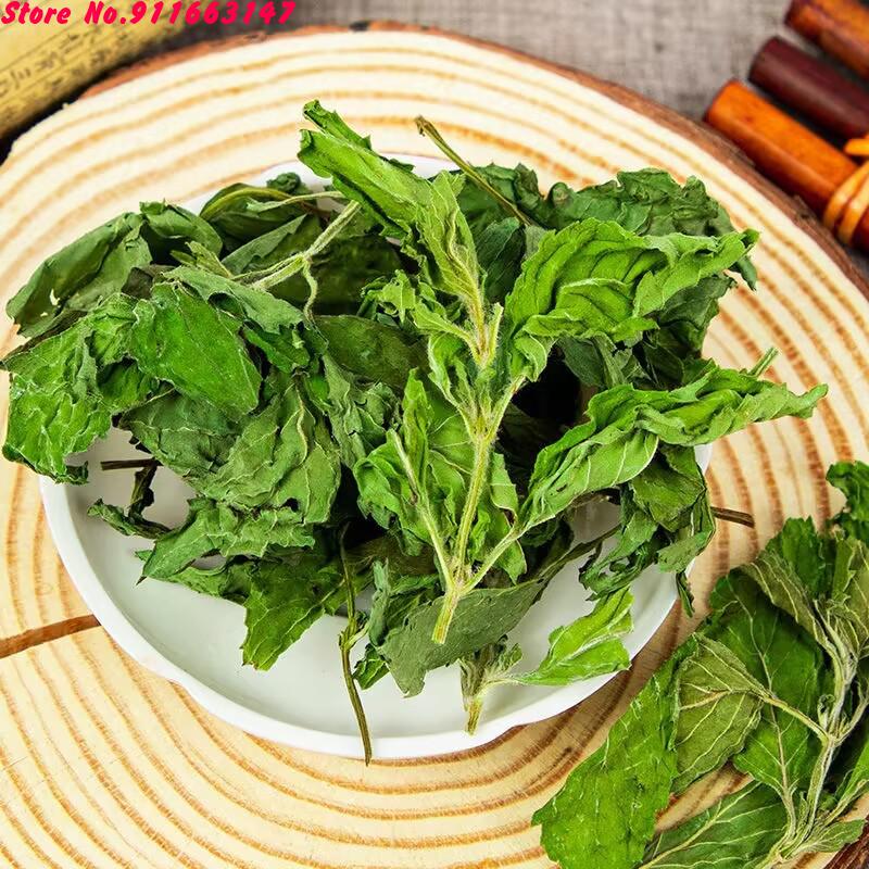 Top Natural Dried Mint Leaf Fo – Jewelry Making For Birthday Party recenzja i cena