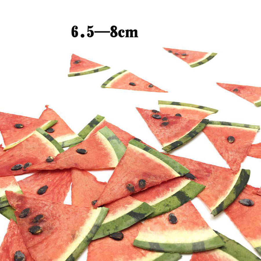 5pcs Dried Pressed Exopy Fruit – Jewelry Making For Birthday Party recenzja i cena